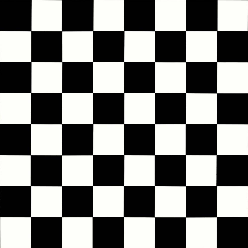 Ecostep Vinyl Flooring Black White 019D  - Big