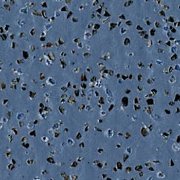 Polysafe Standard Storm Blue Heavy Duty Safety Flooring - Big