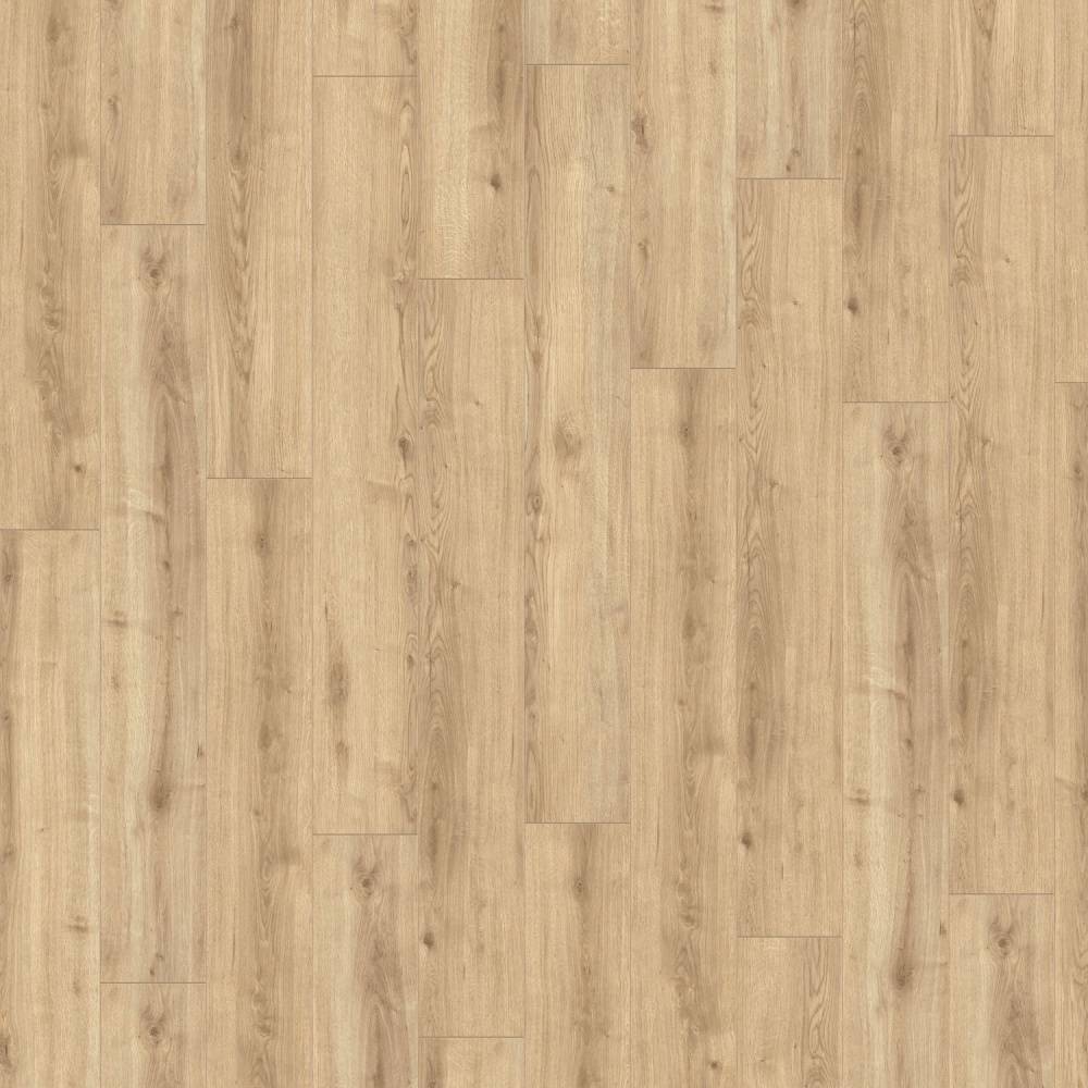 Prestige Laminate Flooring 8mm Champagne Oak 821 - Big
