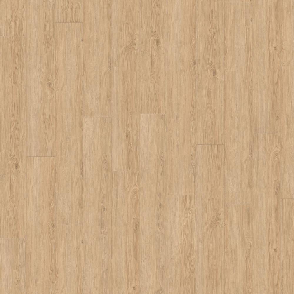 Prestige Laminate Flooring 8mm Refined Oak 8114 - Big