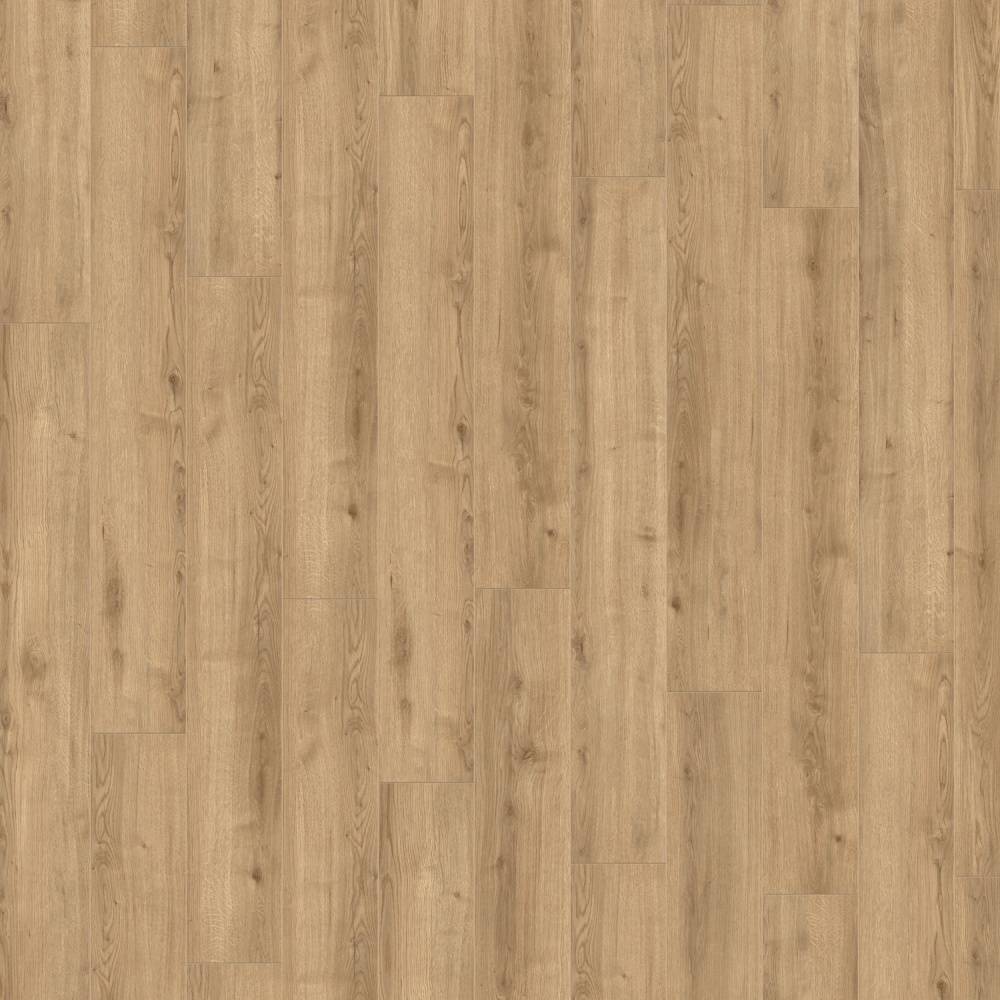 Prestige Laminate Flooring 8mm Tawny Oak 822 - Big