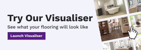 Try Our Visualiser