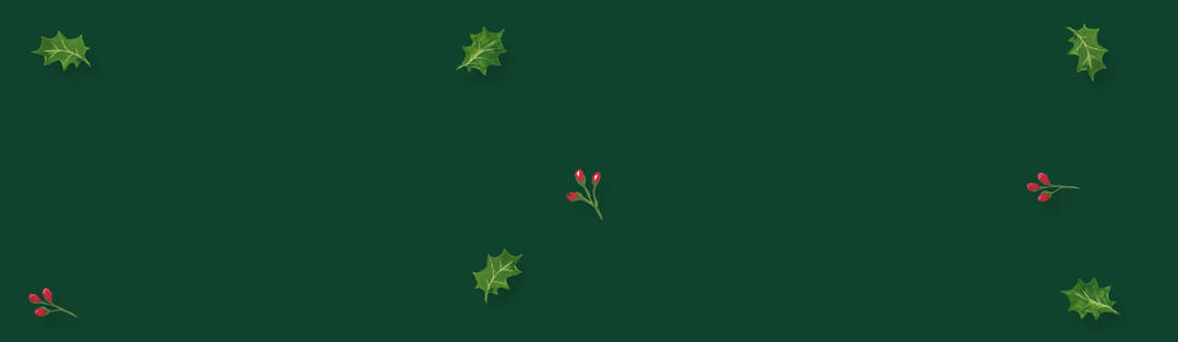 Christmas Delivery